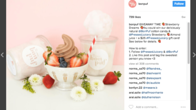 Utilizing Instagram for brand promotion