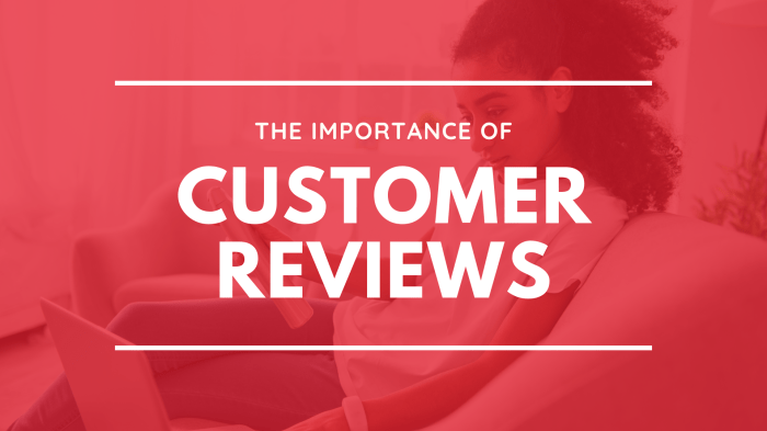 The importance of customer reviews online