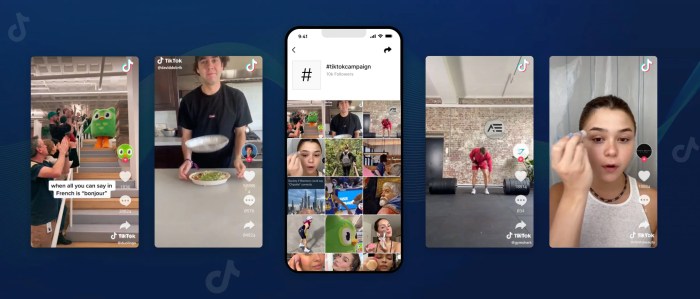 Utilizing TikTok for creative marketing campaigns