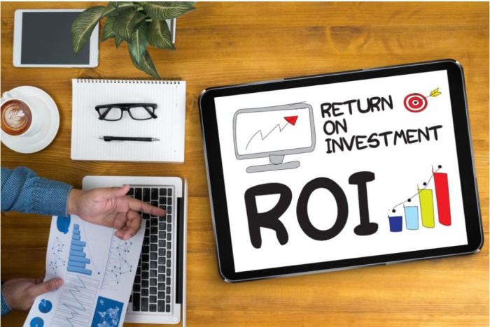 Maximizing ROI through digital marketing efforts